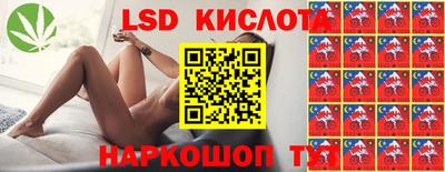 прущие грибы Усть-Илимск