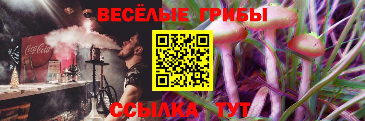 Мурманск  Псилоцибиновые грибы Psilocybine cubensis  Вход с VPN 