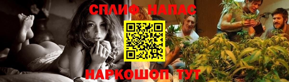 Бошки марихуана THC 21% Мурманск
